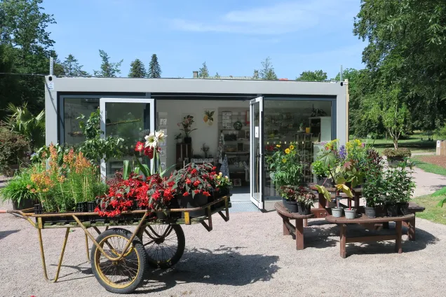 Plants in front of a small boutiqe