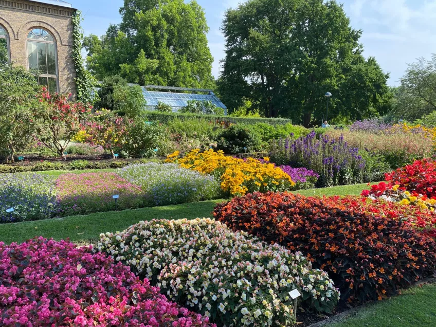 view of colorful flowerbeds with orangery in background