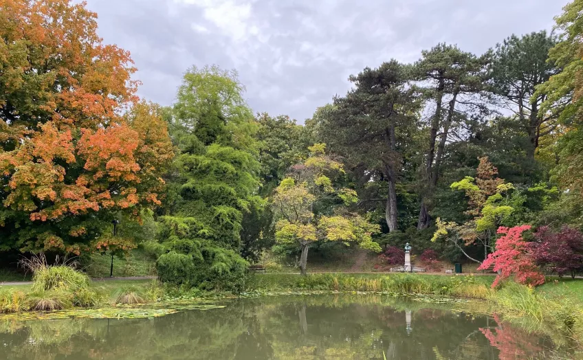 view of pond with autumn coloured trees in the back