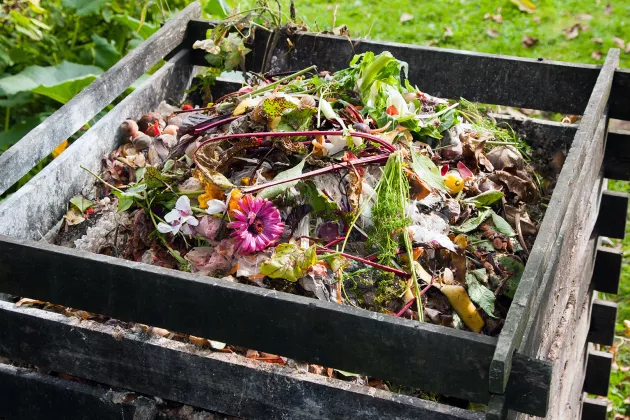 en kompost med visna blommor
