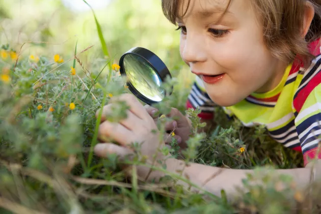 Närbild på pojke i gräs med lupp och tittar på blomma