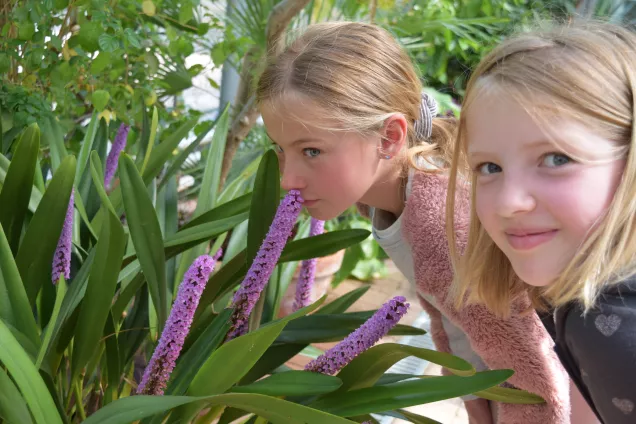Flickor doftar på växt