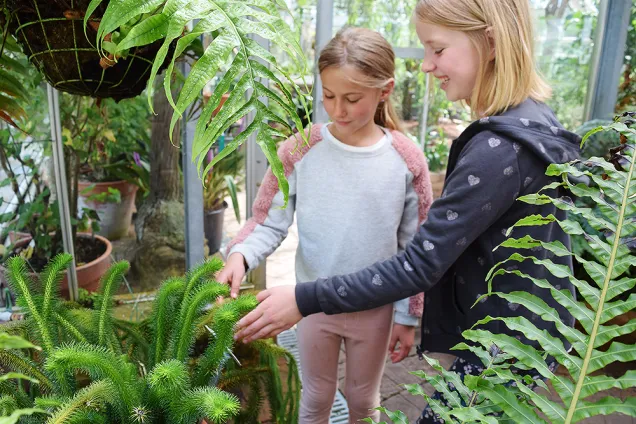 två flickor känner på ormbunksväxter