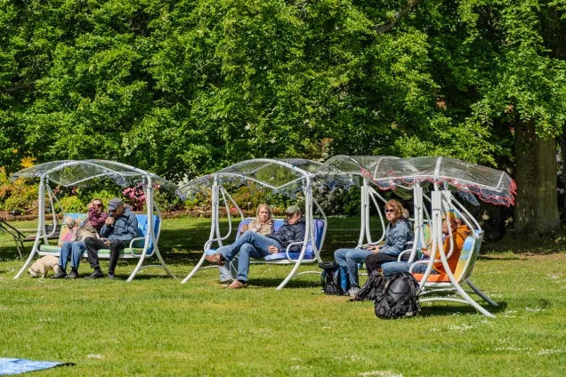 Hammockar med sittande människor