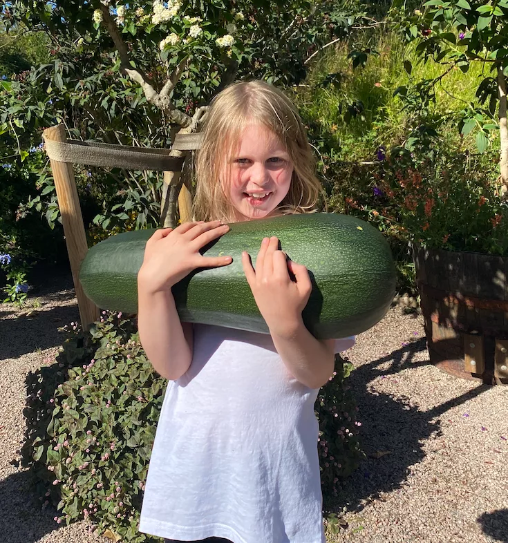 Flicka håller stor zucchini 