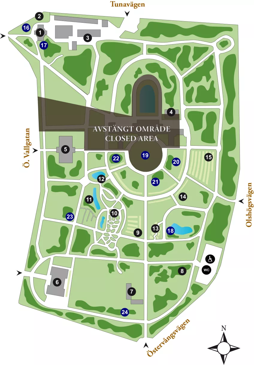 Illustration av en grön karta