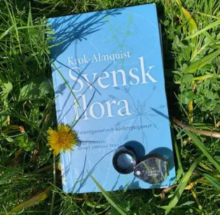 En bok svensk flora ligger i gräset med en lupp på.